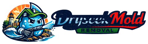 Dryseek Mold Removal